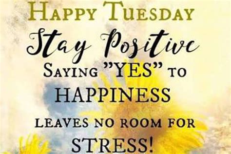 Happy tuesday positive. Things To Know About Happy tuesday positive. 